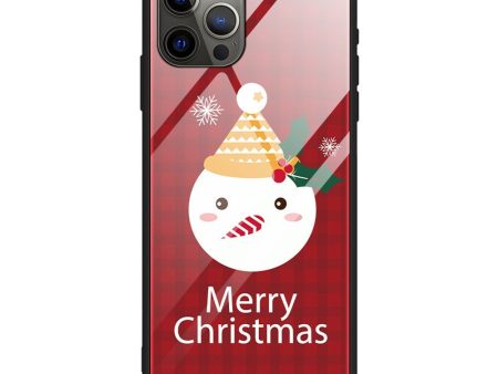 iPhone 15 Pro Jule Cover m. Glasbagside - Merry Christmas - Snemand Cheap