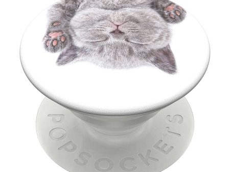 POPSOCKETS PopGrip Cat Nap Aftageligt Greb m. Standerfunktion For Discount